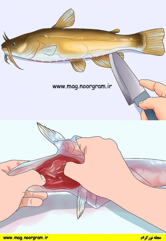 طریقه تمیز کردن ماهی
