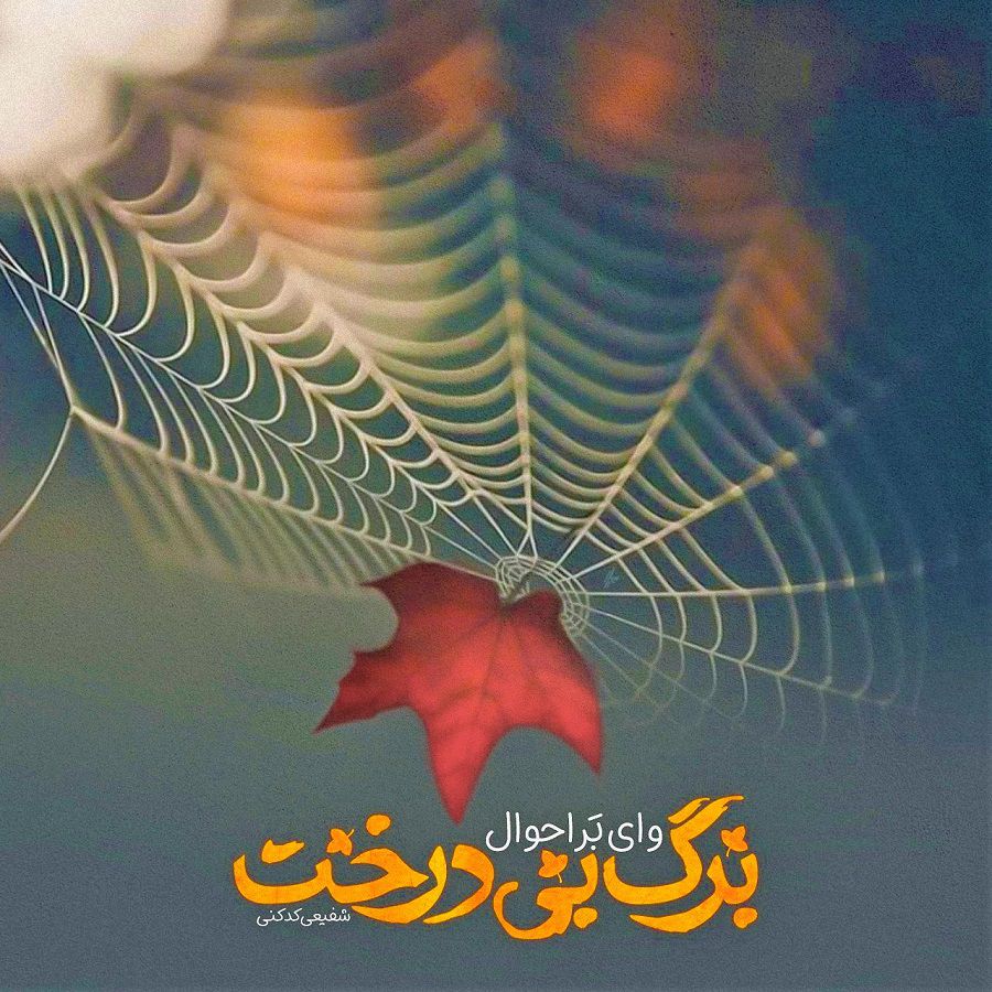 عکس استوری فصل پاییز