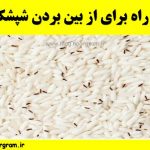 بهترین راه برای از بین بردن شپشک برنج