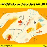 راه های مفید و موثر برای از بین بردن انواع لکه ها