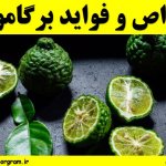 خواص و فواید برگاموت