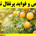 خواص و فواید پرتقال ترش