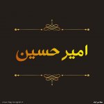 پروفایل اسم امیر حسین