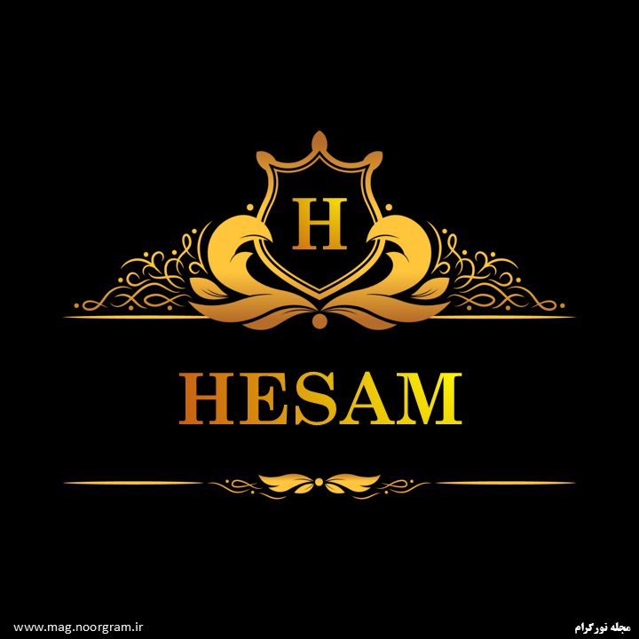 پروفایل حسام به انگلیسی