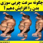 چگونه سرعت چربی سوزی بدن را افزایش دهیم ؟