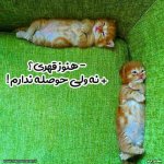 عکس پروفایل قهر