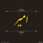 پروفایل اسم امیر