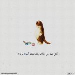عکس پروفایل چاقی