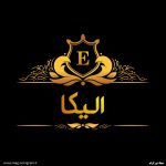 پروفایل الیکا