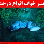 تعبیر خواب انواع درخت ( منابع معتبر )