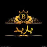 عکس پروفایل باربد