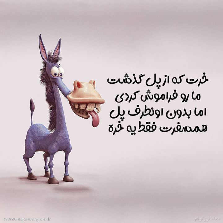 پروفایل تیکه دار