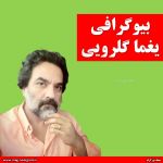 یغما گلرویی