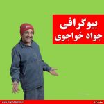 بیوگرافی جواد خواجوی
