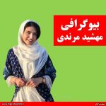 بیوگرافی مهشید مرندی