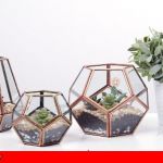 تراریوم برای هدیا
