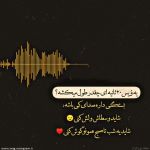 پروفایل ویس
