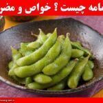 ادامامه چیست ؟ خواص و مضرات