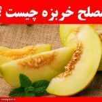 مصلح خربزه