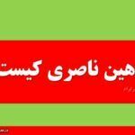 شاهین ناصری