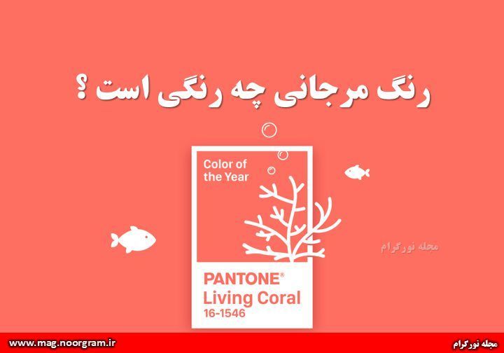 رنگ مرجانی چه رنگی است ؟