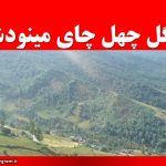 جنگل چهل چای مینودشت