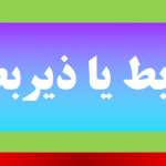 زیربط یا ذیربط