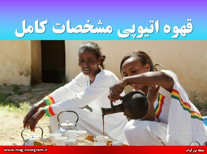 قهوه اتیوپی مشخصات کامل