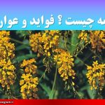 وسمه چیست فواید و عوارض