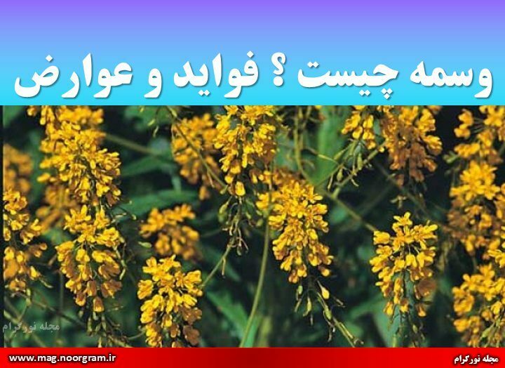 وسمه چیست فواید و عوارض