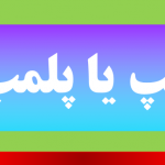پلمپ یا پلمب