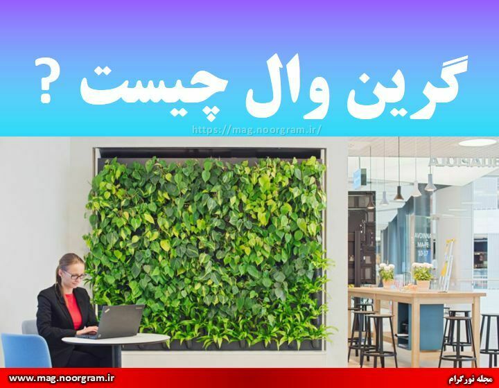 گرین وال چیست