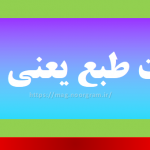 مناعت طبع یعنی چه