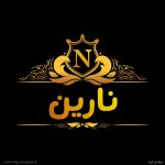 پروفایل نارین