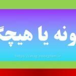 هیچ گونه یا هیچگونه