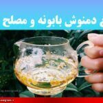 طبع دمنوش بابونه
