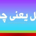 فشل یعنی چه