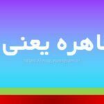 قوه قاهره یعنی چه