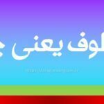 معطوف یعنی چه