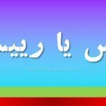 رئیس یا رییس