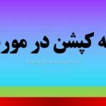 مجموعه کپشن در مورد رفیق