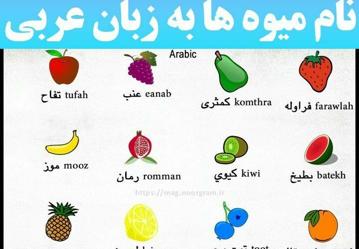 نام میوه ها به زبان عربی