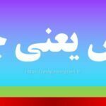 تخس یعنی چه