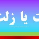 ذلت یا زلت