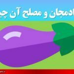 طبع بادمجان و مصلح آن چیست