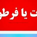 فرتوت یا فرطوط
