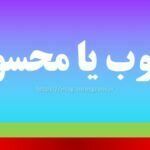 محصوب یا محسوب