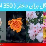 اسم گل برای دختر