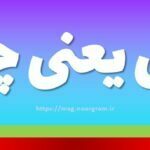 بش یعنی چه