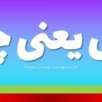 لش یعنی چه